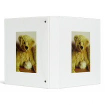 Teddy Bear binders