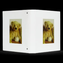 Teddy Bear binders by celtxian Teddy Bear binders