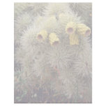 Teddy Bear Cholla Fruit  flowers Letterhead Design