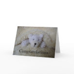 new, baby, new, arrival, birth, baby, infant,