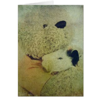 Teddy Bear Hugs A Guinea Pig card