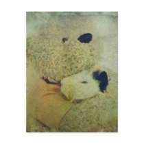 Teddy Bear Hugs A Guinea Pig Post Card