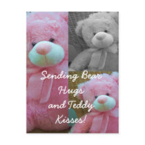 Teddy bear hugs Postcard