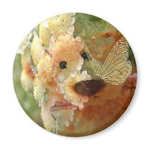 Teddy Bear magnets