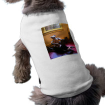 Teddy Bear on Rocking Horse pet clothing