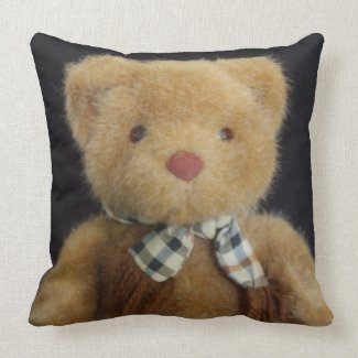 Teddy Bear Throw Pillows