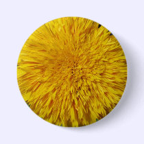 Teddy Bear Sunflower buttons