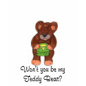 Teddy Bear t-shirts