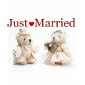 Teddy Bears-just married Shirt shirt