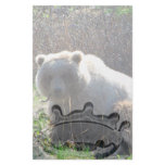 Teddy Bear's Picnic stationery