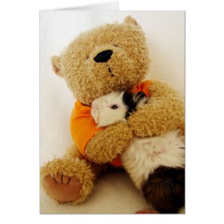 Teddy Hugs A Guinea Pig card