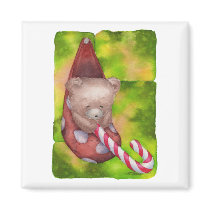 Teddy Magnet