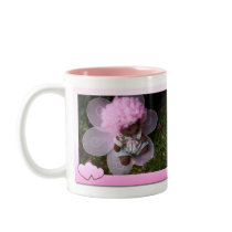 Teddy mugs