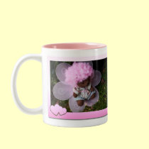 Teddy mugs