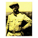Teddy on Campaign posters