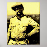 Teddy on Campaign posters