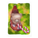 Teddy Print