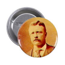 Teddy Roosevelt - Button