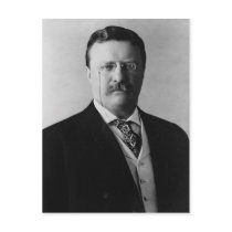 Teddy Roosevelt Postcards