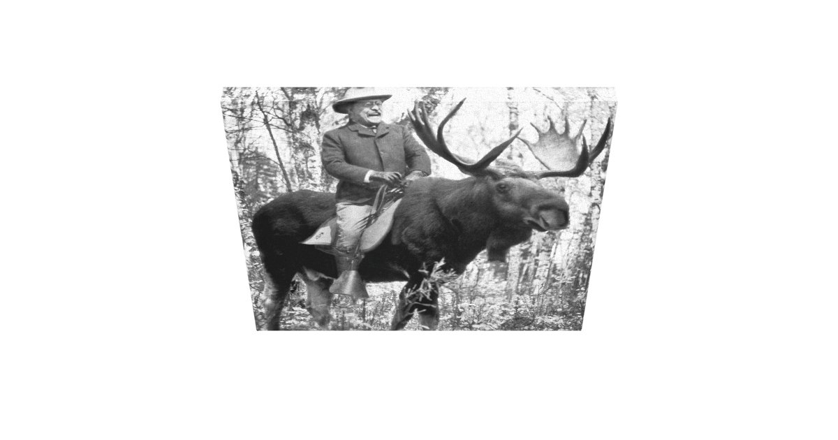 roosevelt riding a moose