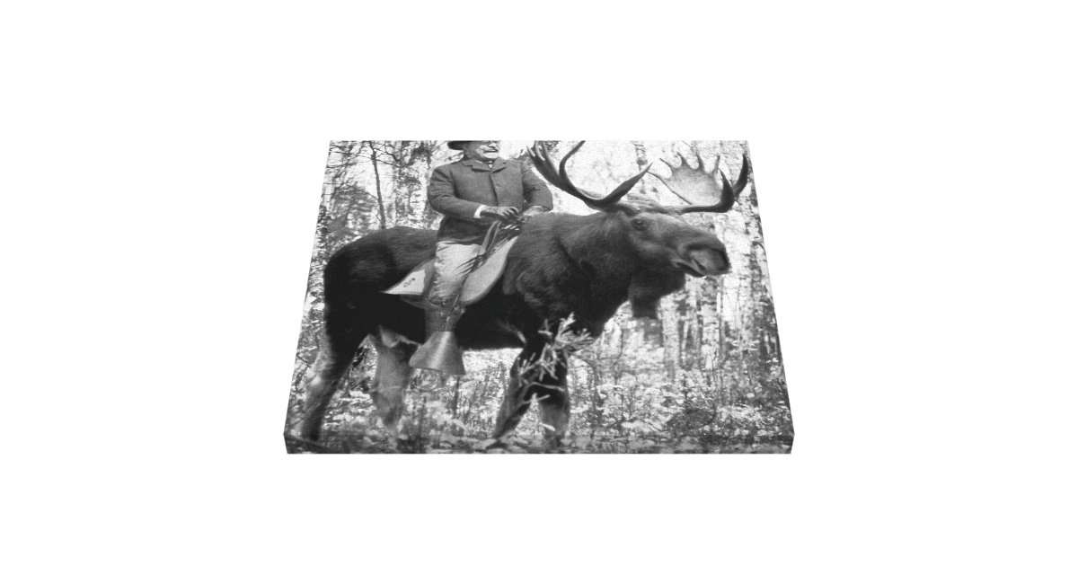 theodore roosevelt on moose
