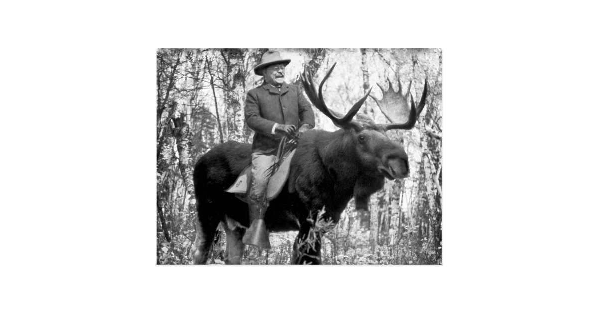 roosevelt riding a moose