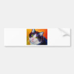 Teddy the Cat signed Bumper Stickers