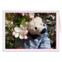 teddybeary springtime cards by hobbes_tiggar teddybeary springtime cards