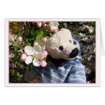 teddybeary springtime cards by hobbes_tiggar teddybeary springtime cards
