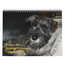 Teddy's First Standard Schnauzer Calendar 2009 by joeybrooks Teddy's First Standard Schnauzer Calendar 2009
