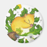 Ted's Regret Magnets