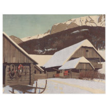 TEE Austrian Winter Custom Flyer