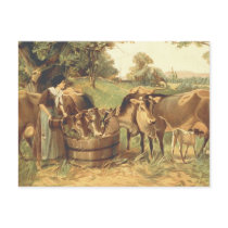 TEE Barn Girlie Postcards