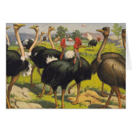 TEE Bird Talk card