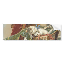 TEE Curious Cat Bumper Sticker