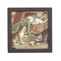 TEE Curious Cat Premium Jewelry Box
