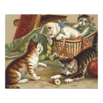 TEE Curious Cat Print