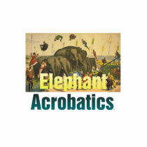 TEE Elephant Acrobatics photo sculptures by teepossible TEE Elephant Acrobatics photo sculptures