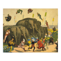 TEE Elephant Acrobatics posters