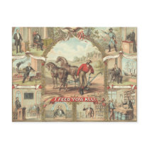 TEE Farmer Slogan Postcards