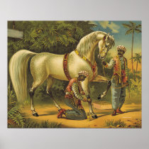 TEE Horse Royalty Print