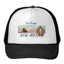 TEE I'm From New Mexico Hats