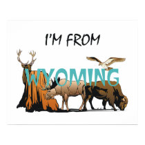 TEE I'm From Wyoming posters