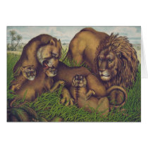 TEE Jungle Pride cards