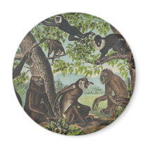 TEE Monkey Mayhem magnets by teepossible TEE Monkey Mayhem magnets