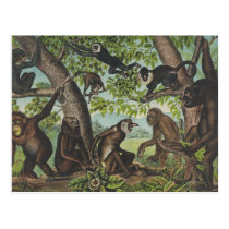 TEE Monkey Mayhem Postcard