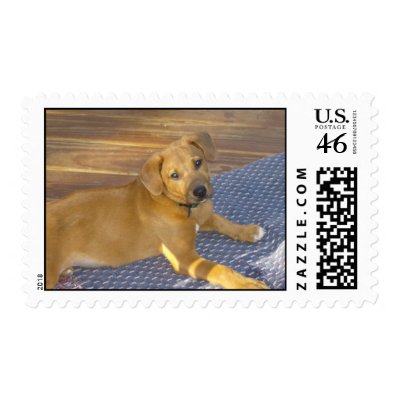 Tee Postage by pattiabram