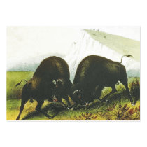 TEE Prairie Battle business cards