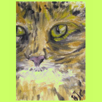 Tee Shirts, Women - Cat Art