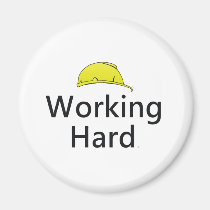 TEE Working Hard magnets
